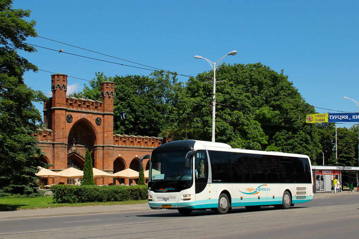 Автобусы и маршрутки калининграда